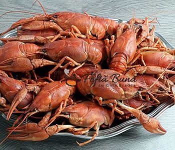 Raci fierti cu mujdei, reteta dobrogeana
