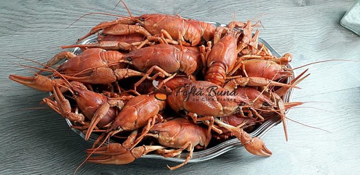 Raci fierti cu mujdei, reteta dobrogeana