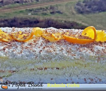 Prajitura fara coacere cu biscuiti si budinca Prajitura fara coacere cu biscuiti si budinca