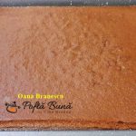 prajitura inteligenta cu cacao 4 150x150 - Prajitura inteligenta cu cacao