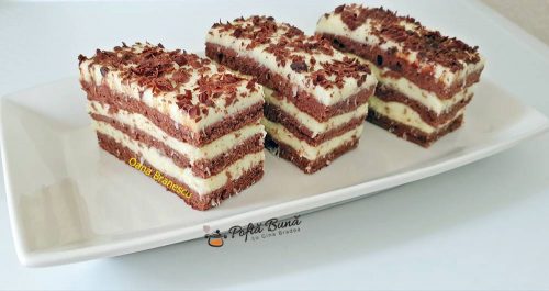 Prajitura cu cacao si cocos