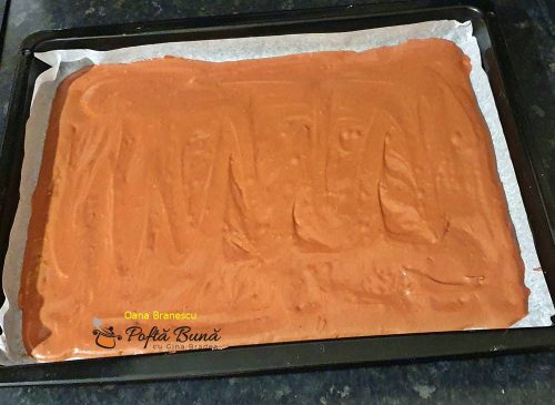 Prajitura cu cacao si cocos prajitura cu cacao si cocos reteta simpla 5 500x365 - Prajitura cu cacao si cocos