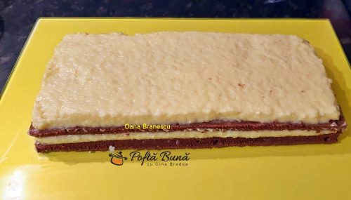 Prajitura cu cacao si cocos prajitura cu cacao si cocos reteta simpla 6 500x285 - Prajitura cu cacao si cocos