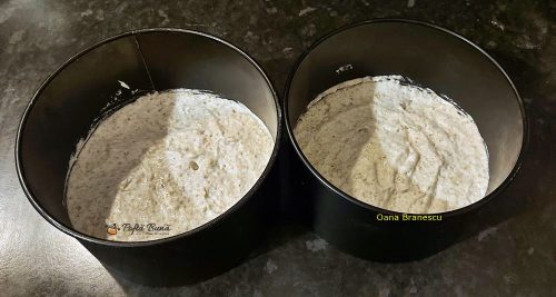 Tort Egiptean cu foi de nuca si crema de vanilie tort egiptean cu foi de nuca si crema de vanilie gina bradea 11 500x267 - Tort Egiptean cu foi de nuca si crema de vanilie