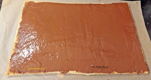 rulada cu ciocolata gina bradea 7 500x265 - Rulada cu ciocolata