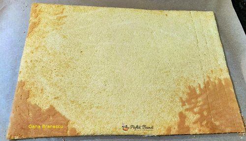 rulada cu ciocolata gina bradea 8 500x287 - Rulada cu ciocolata