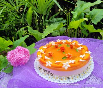 cheesecake cu caise 5 350x300 - Index retete culinare