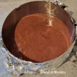 tort cu afine si capsuni reteta gina bradea 7 150x150 - Tort cu afine si capsuni