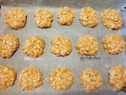 biscuiti din fulgi de ovaz reteta gina bradea 3 500x377 - Biscuiti din fulgi de ovaz