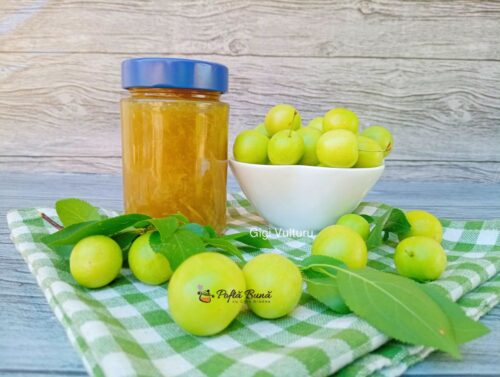 Index retete culinare pasta corcoduse acrit ciorbele reteta gina bradea 2 500x377 - Index retete culinare