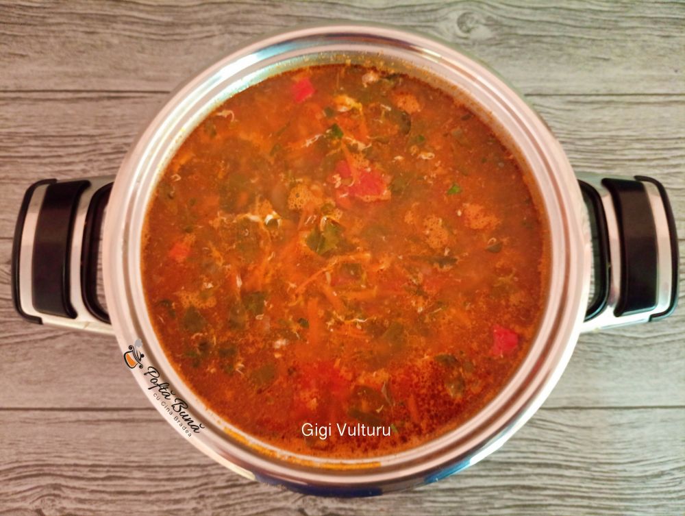 Ciorba de iarba grasa