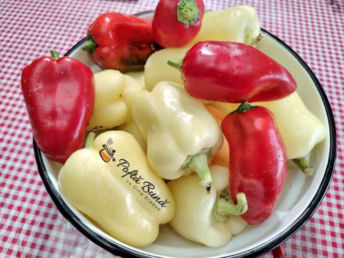 Ardei pentru umplut la borcan pentru iarna